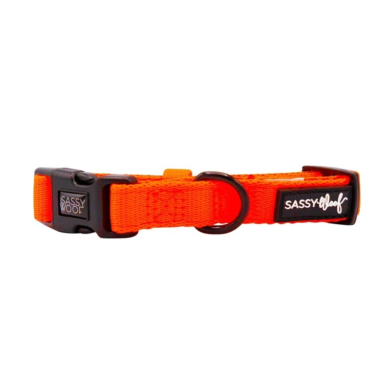 Dog Collar- Neon Orange