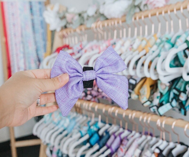 Sailor Dog Bow-Aurora