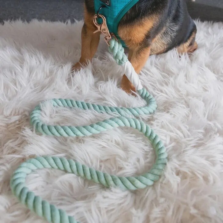 Dog Rope Leash- Mint to Be