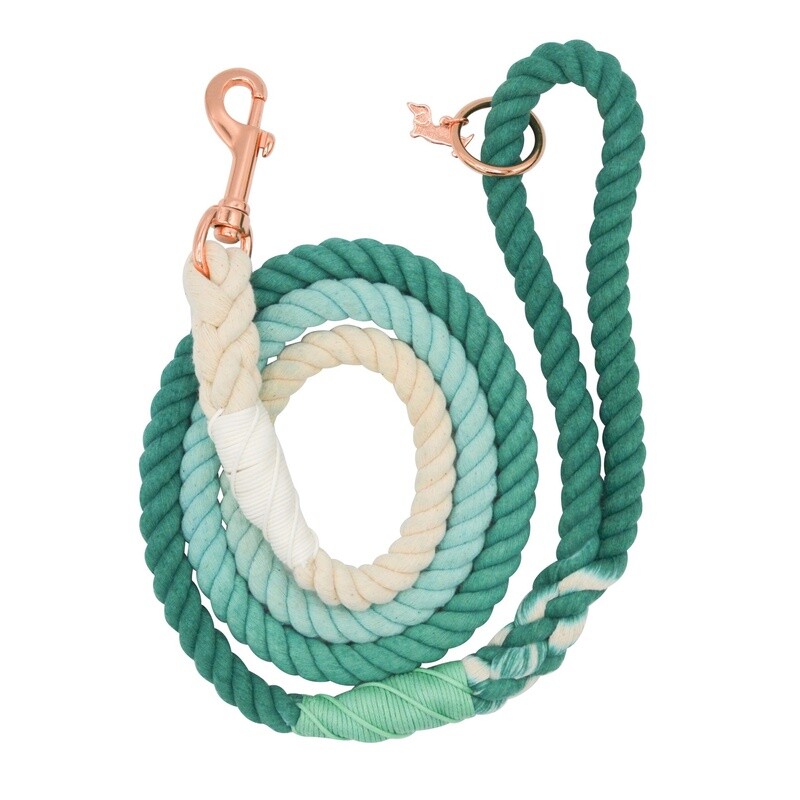 Dog Rope Leash- Ombre Teal