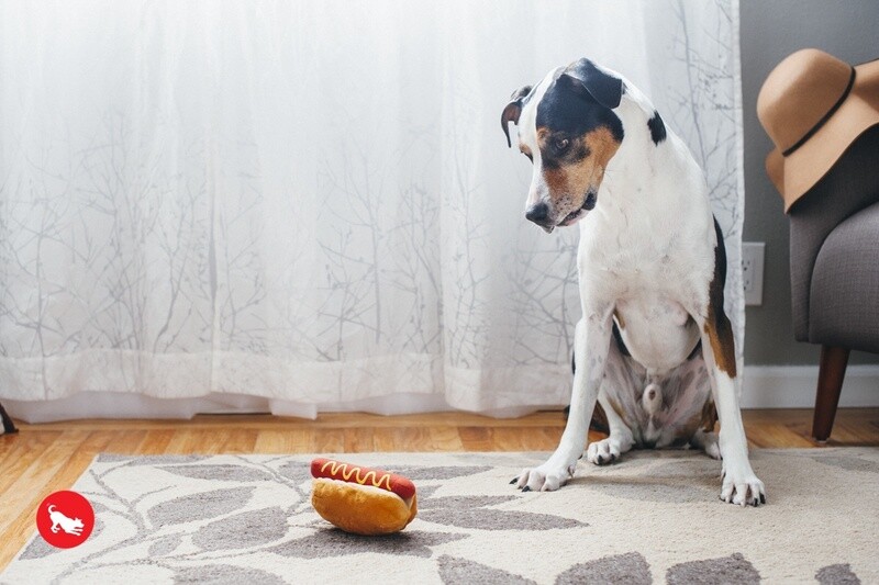 Hot Dog