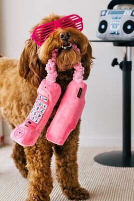 Squeaky &amp; Crinkle Toys