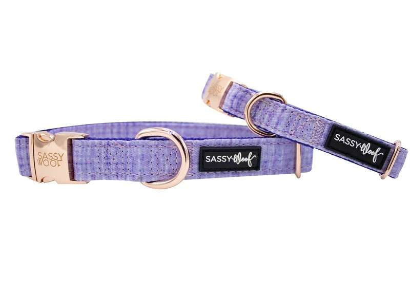 Dog Collar- Aurora