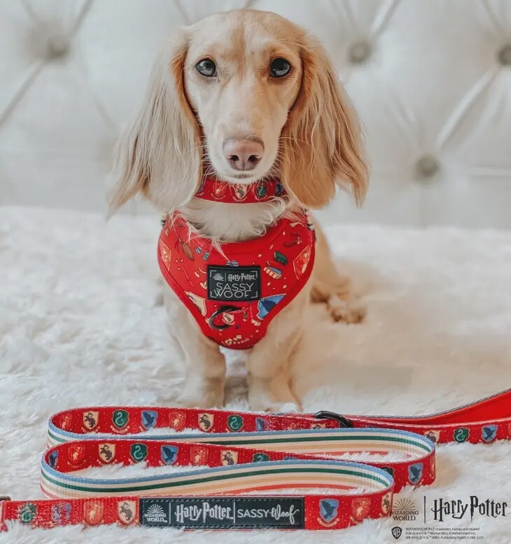 Harry Potter Dog Leash