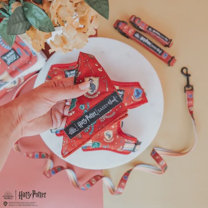 Harry Potter Dog Bandana
