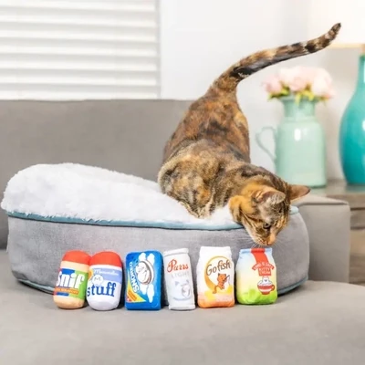 Cat Toys
