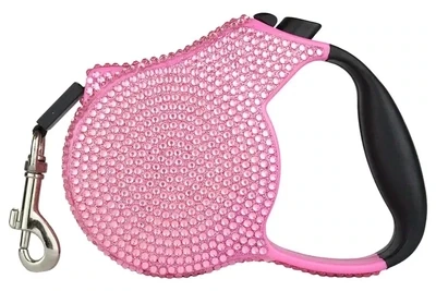 Retractable Leash