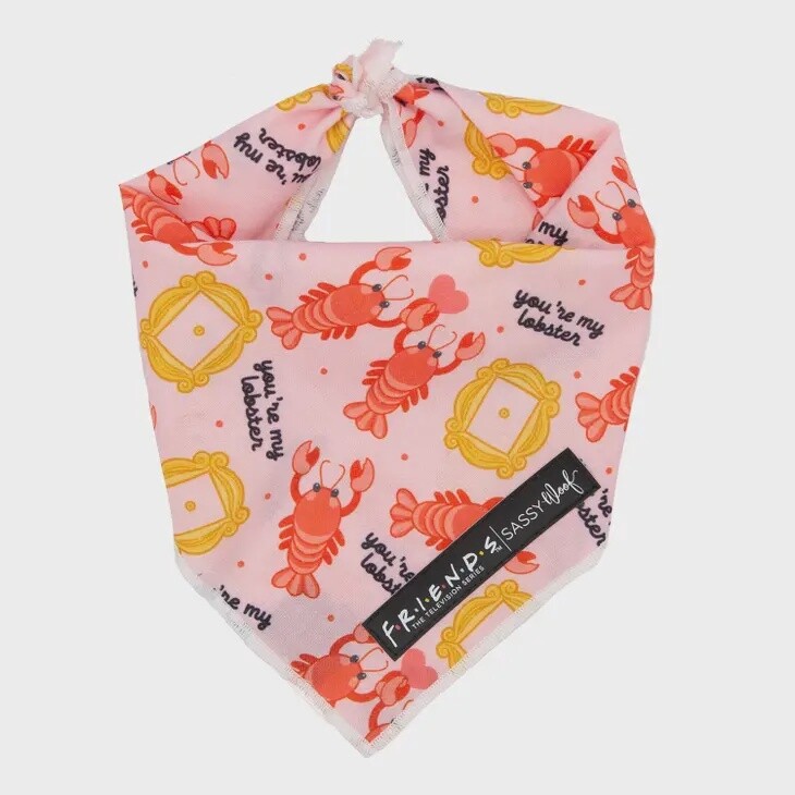 Friends Dog Bandana- Lobster