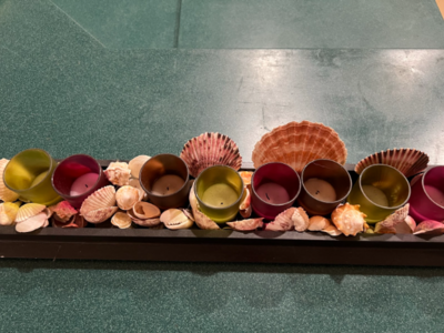 Shell Art & Seashell Art