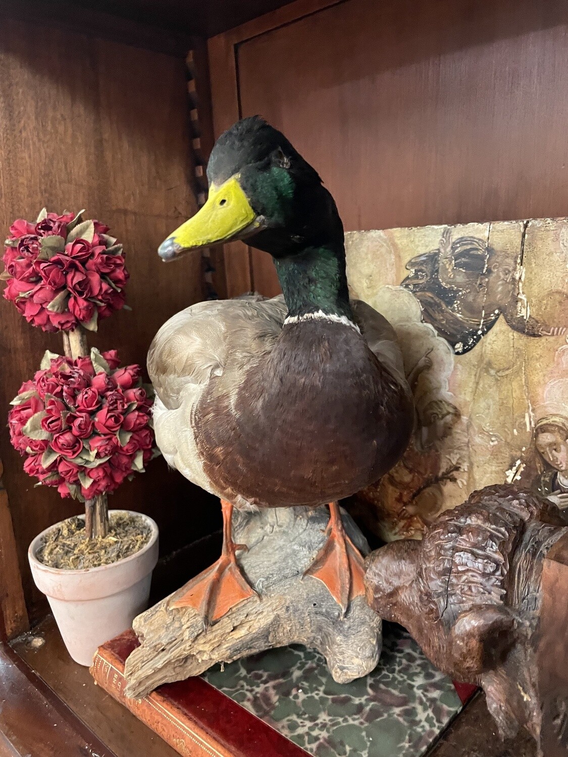 Pheasant Trophy Mount