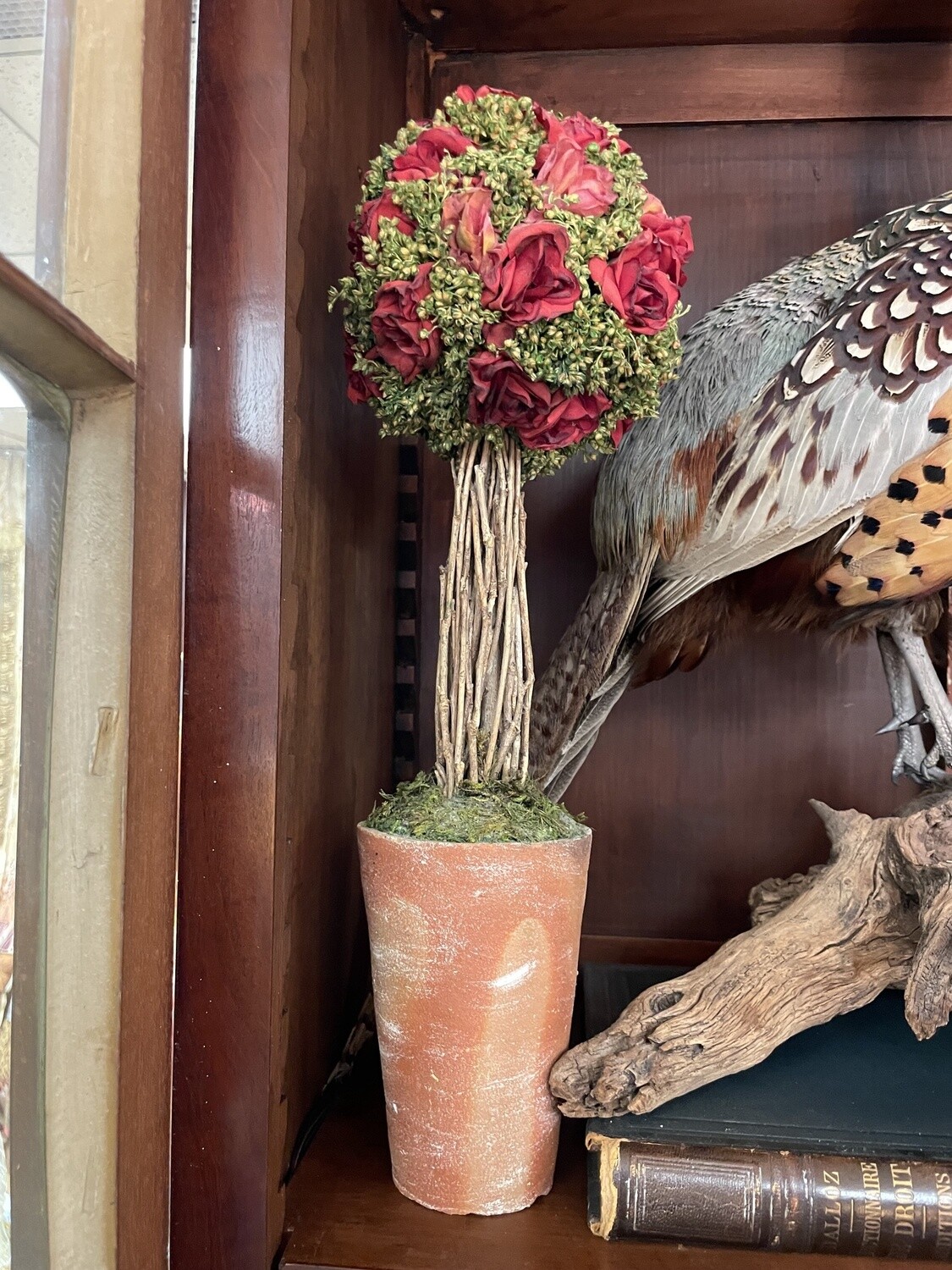 Rose Ball Topiary in Terracotta Pot