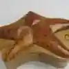 Star Fish
