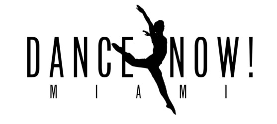 Dance Now Miami Merchandise