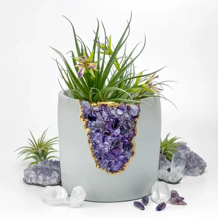 Amethyst Aura Planter