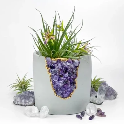 Amethyst Aura Planter