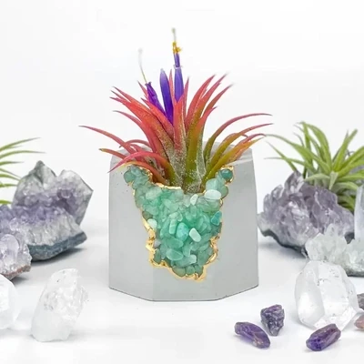 Green Aventurine Geode Planter