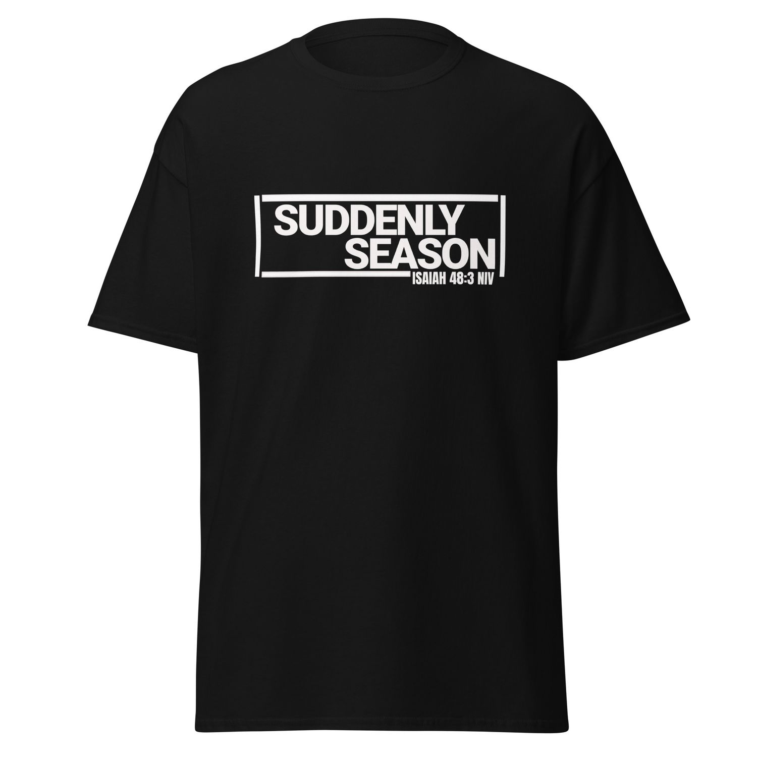 Unisex classic tee