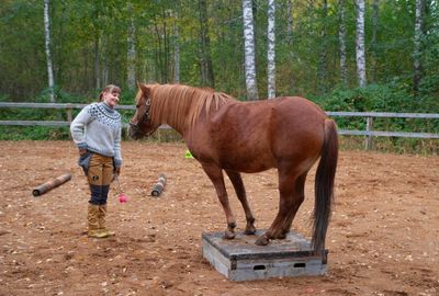 Hevostoiminta (kesto 1h) Hevostoiminta (kesto 1h)