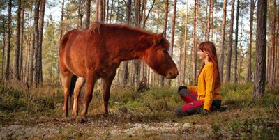 Energiayhteys hevoseen -verkkokurssi