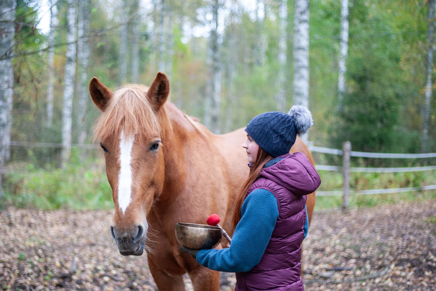 Eläinten äänimaljahoitajakoulutus