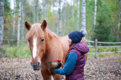 Eläinten äänimaljahoitajakoulutus Eläinten äänimaljahoitajakoulutus