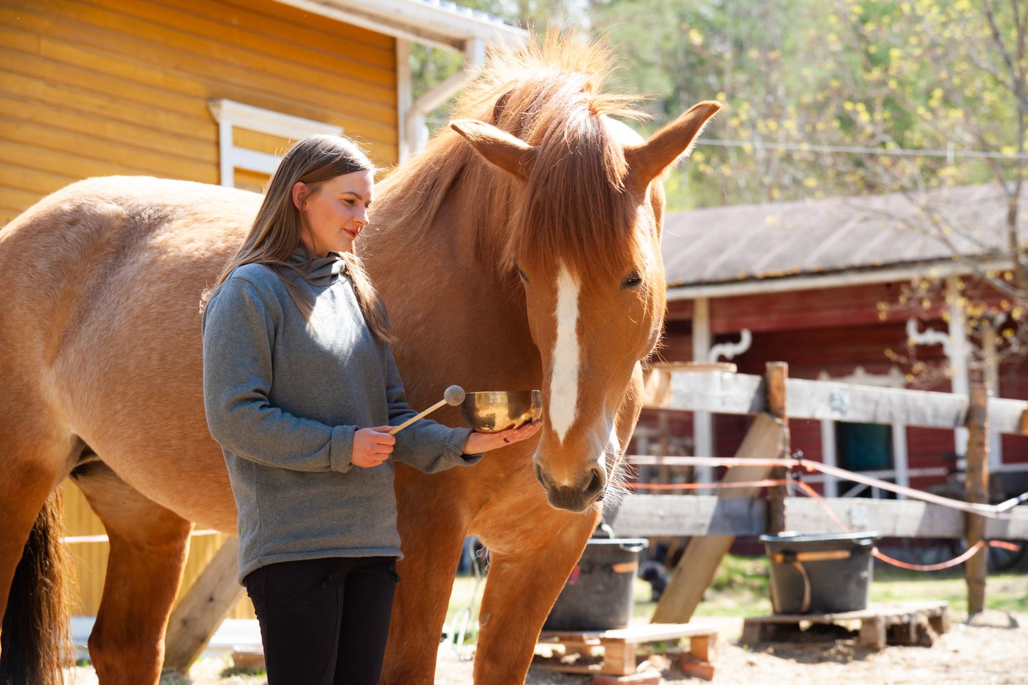 Äänimaljarentoutus hevosten kanssa (kesto noin 1,5h)