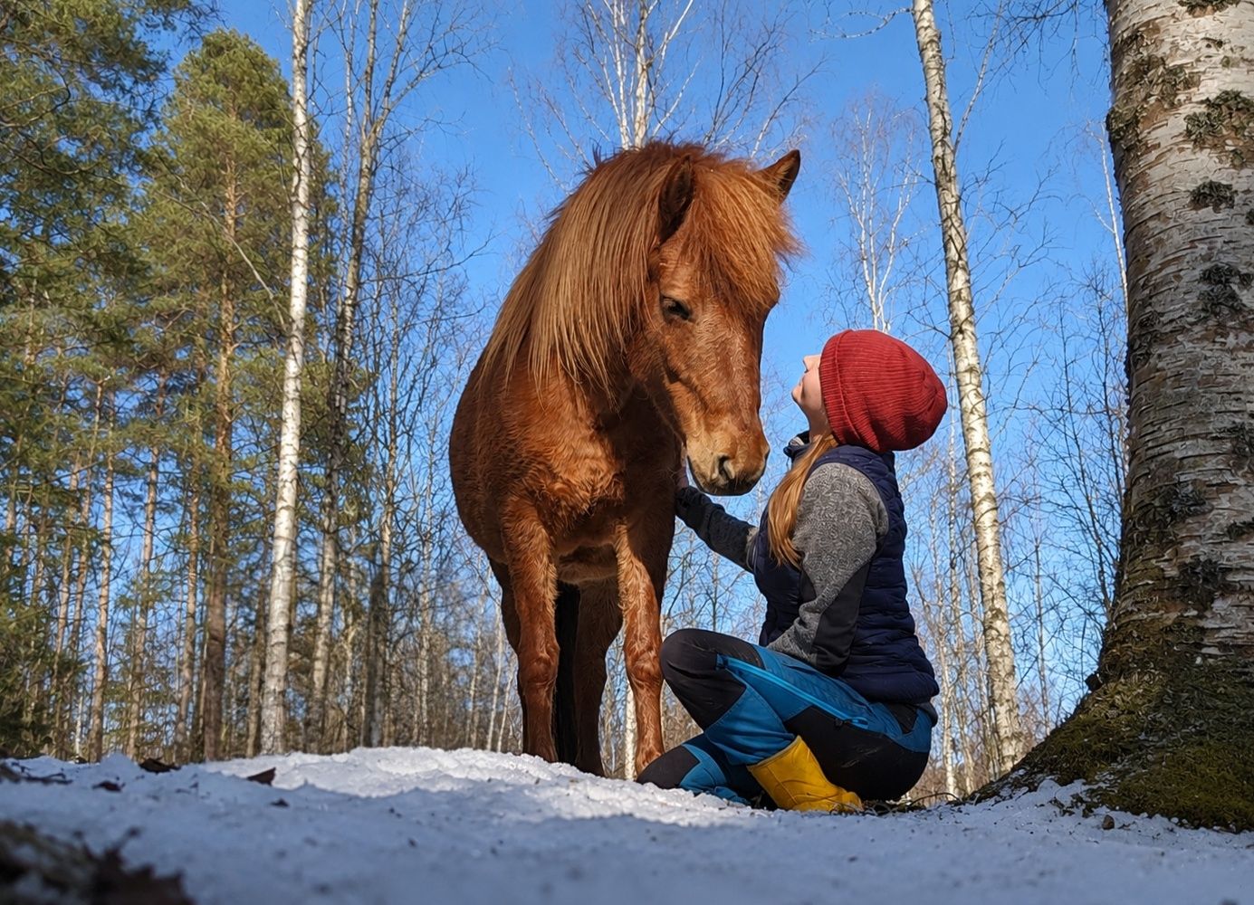 Eläinten energiahoitokurssi (Enkelikartano) Eläinten energiahoitokurssi (Enkelikartano)