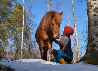 Eläinten energiahoitokurssi (Enkelikartano) Eläinten energiahoitokurssi (Enkelikartano)