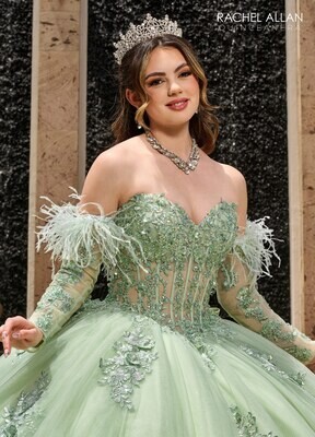 RQ2171 TULLE, GLITTER TULLE, APPLIQUE, BEADING, FEATHERS SAGE, WINE