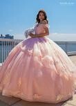 RQ1136 Fabric: 	TULLE, GLITTER TULLE, APPLIQUE, BEADING Available In: 	BLUSH IRIDESCENT, LIGHT BLUE