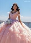RQ1136 Fabric: 	TULLE, GLITTER TULLE, APPLIQUE, BEADING Available In: 	BLUSH IRIDESCENT, LIGHT BLUE