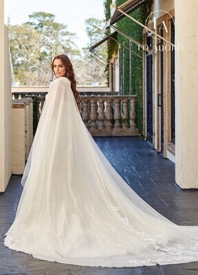 M781 Tulle, Applique, Glitter Tulle, Beading Available In: Ivory