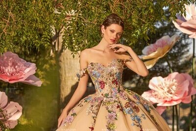 EV37-637 - Floral Embroidered Quinceanera Dress by Ragazza