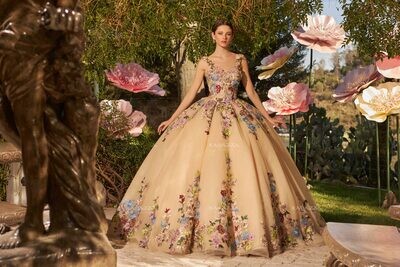 EV37-637 - Floral Embroidered Quinceanera Dress by Ragazza