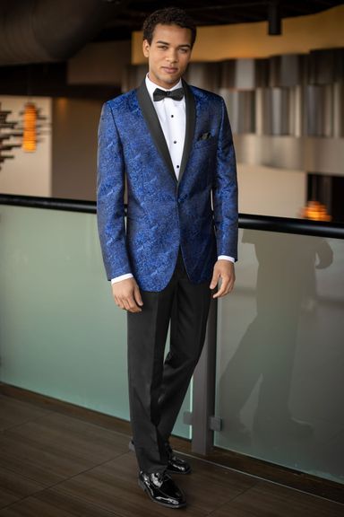 COBALT BLUE PAISLEY ARIES TUXEDO MARK OF DISTINCTION | STYLE 132