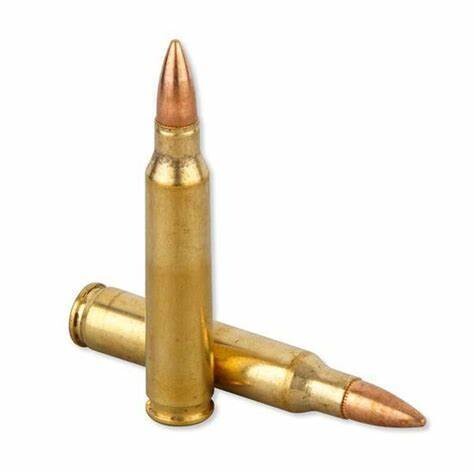 Factory Federal 50ct M193 5.56mm 55 gr.