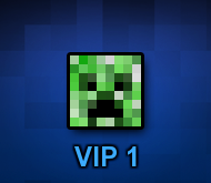 VIP UPGRADES