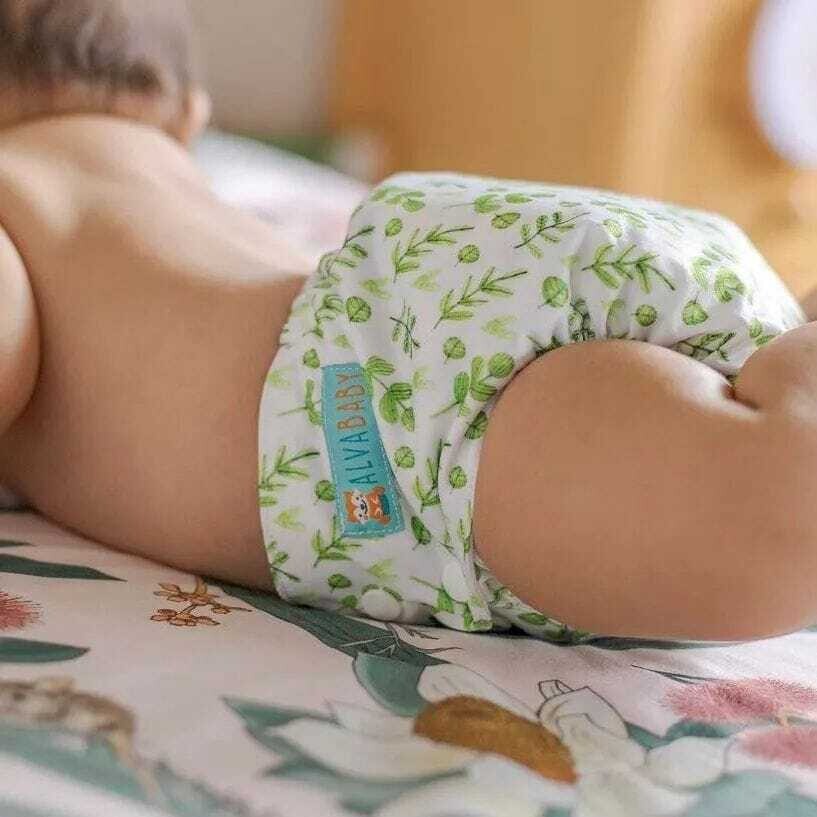 Eucalipto (Alva Baby)