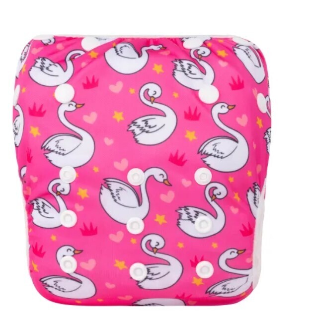 Cisne