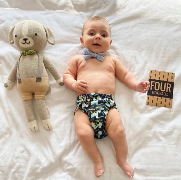 Diplodocus (Alva Baby)