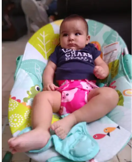 cerdito (Alva Baby)
