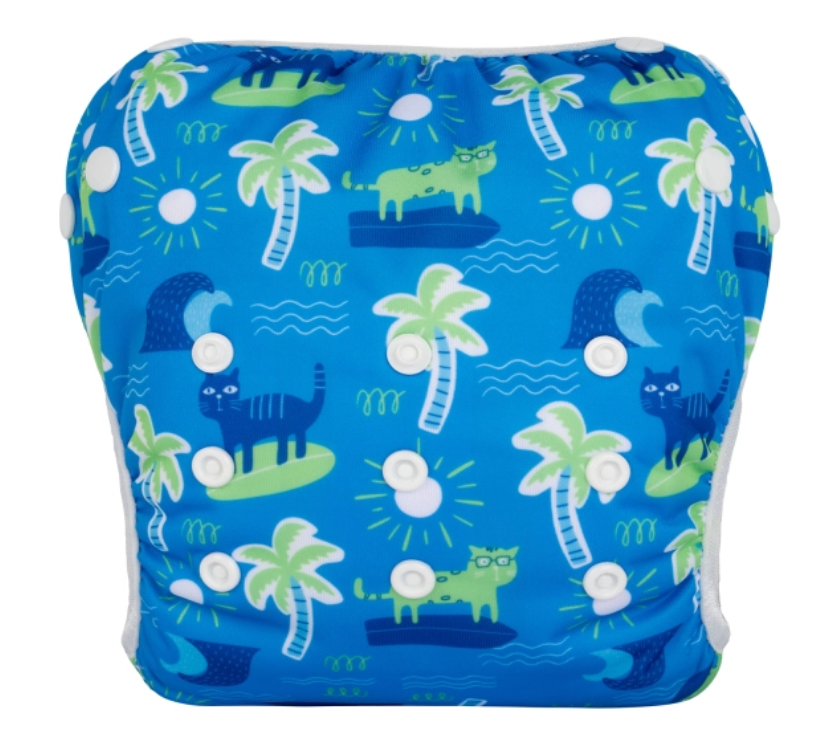 Palmera