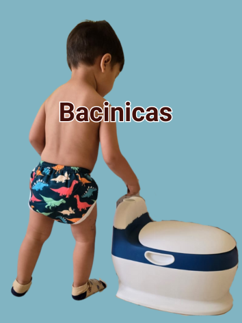 Bacinicas