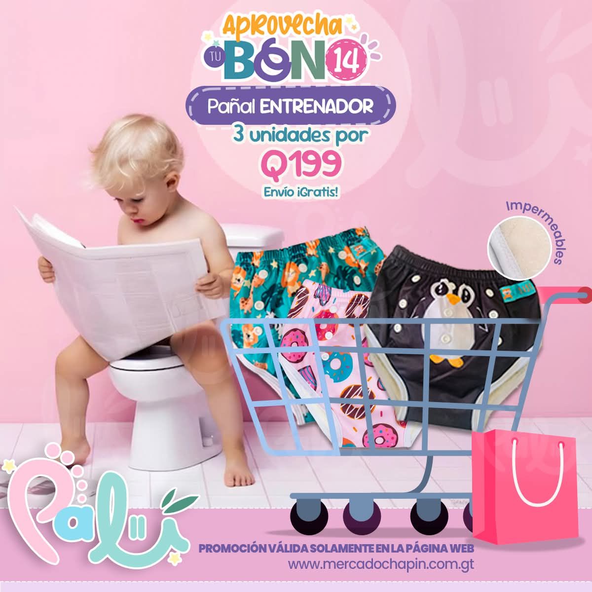 combo de entrenadores