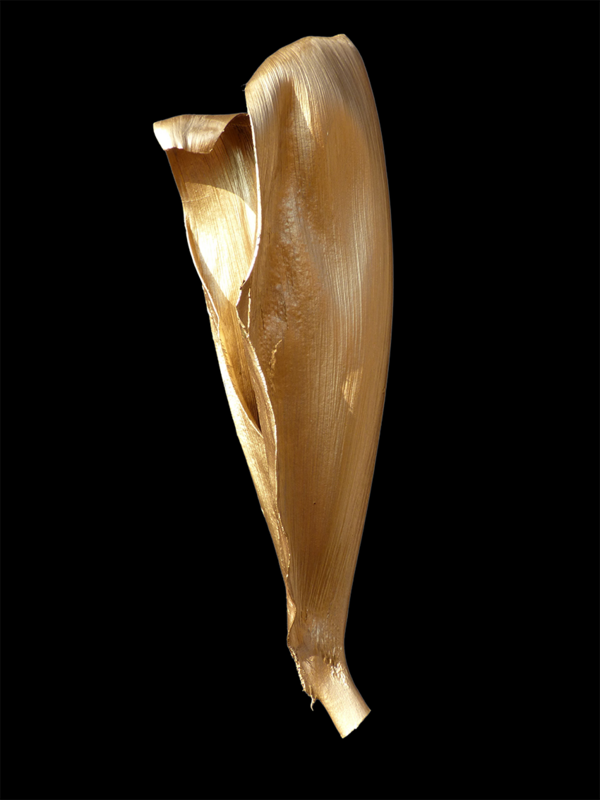 BYSETTE