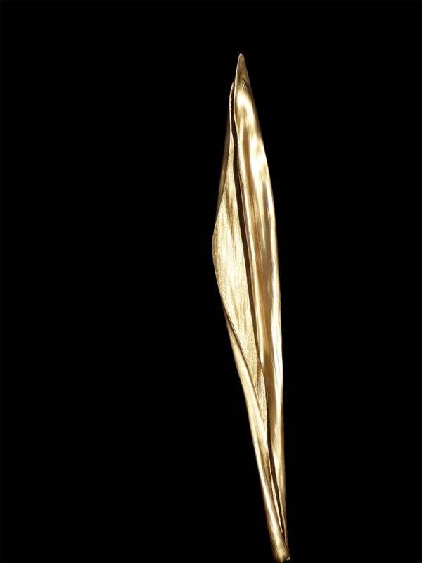 VULVASA