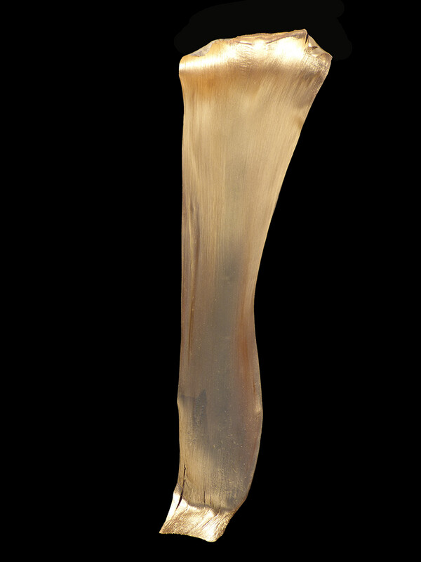 CAVANCA