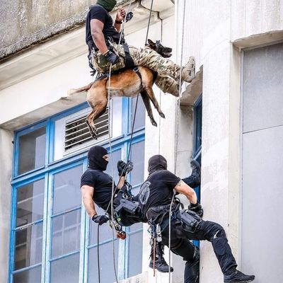 Equipes spécialisées