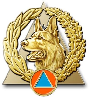 Insigne sécurité civile / sapeurs-pompiers équipe cynotechnique OR