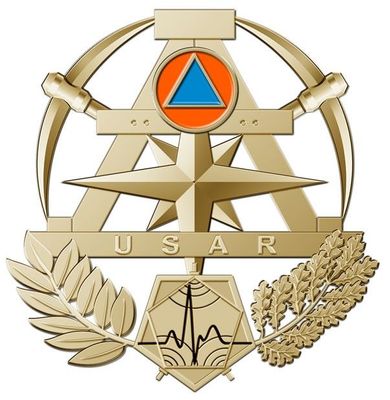 Insigne sécurité civile / sapeurs-pompiers  USAR BRONZE